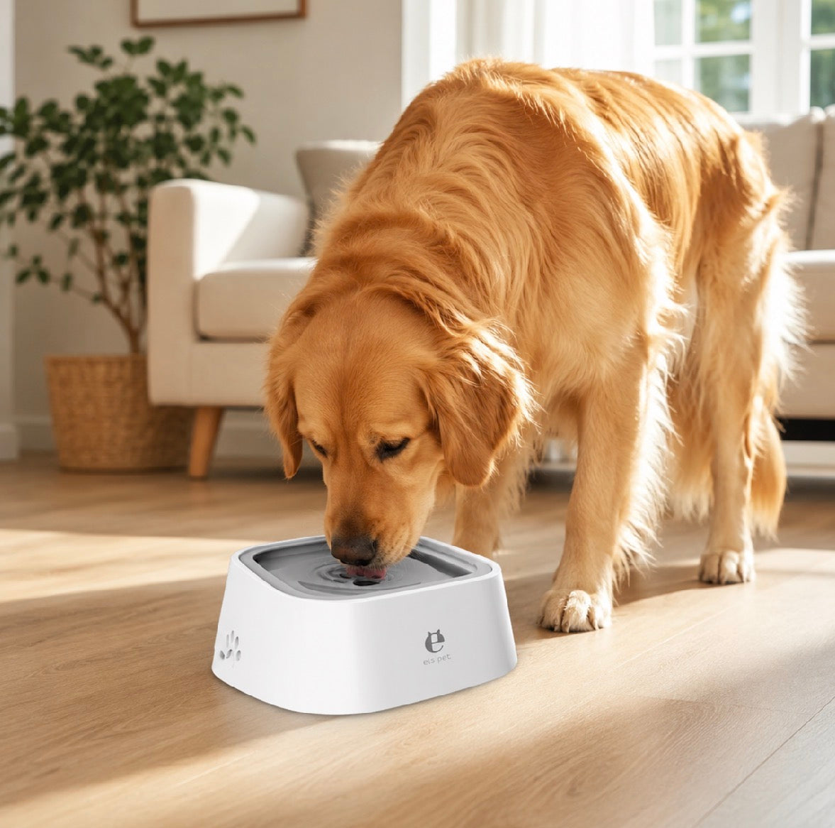 No-Spill Slow Drinking Water Bowl