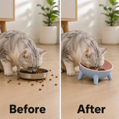 Elevated Cat &amp; Small Dog Bowl