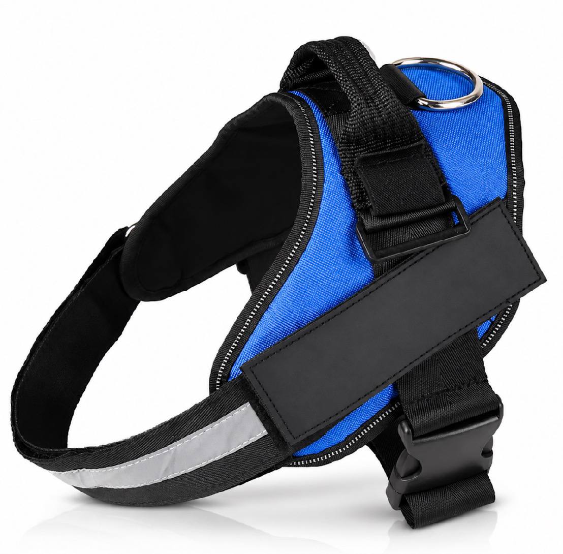 no-pull dog harness