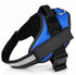 no-pull dog harness