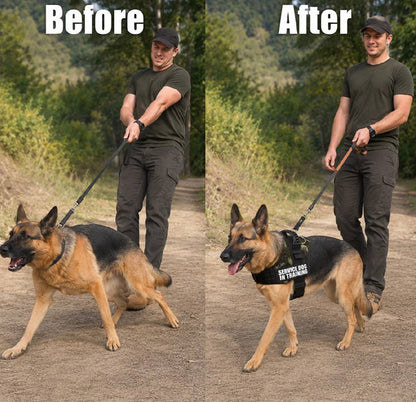 no-pull dog harness
