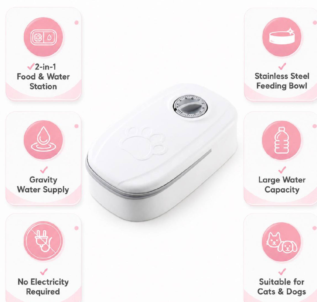 2-in-1 pet feeder and water dispenser