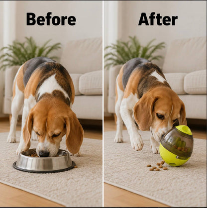 pet food dispenser toy
