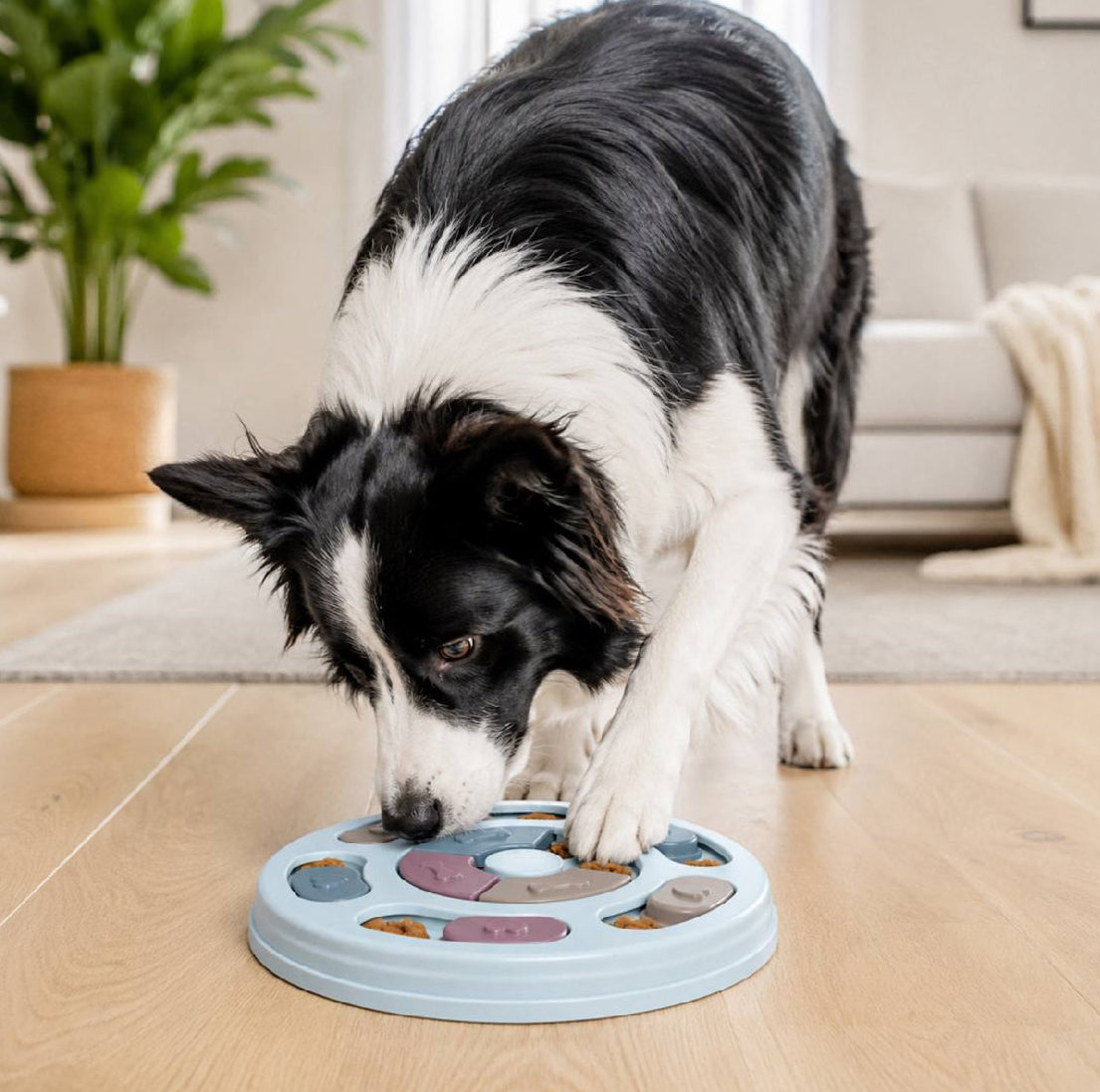 slow feeder dog puzzle bowl