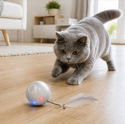 interactive LED cat ball