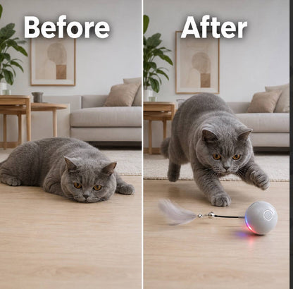 interactive LED cat ball