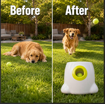 automatic dog ball launcher