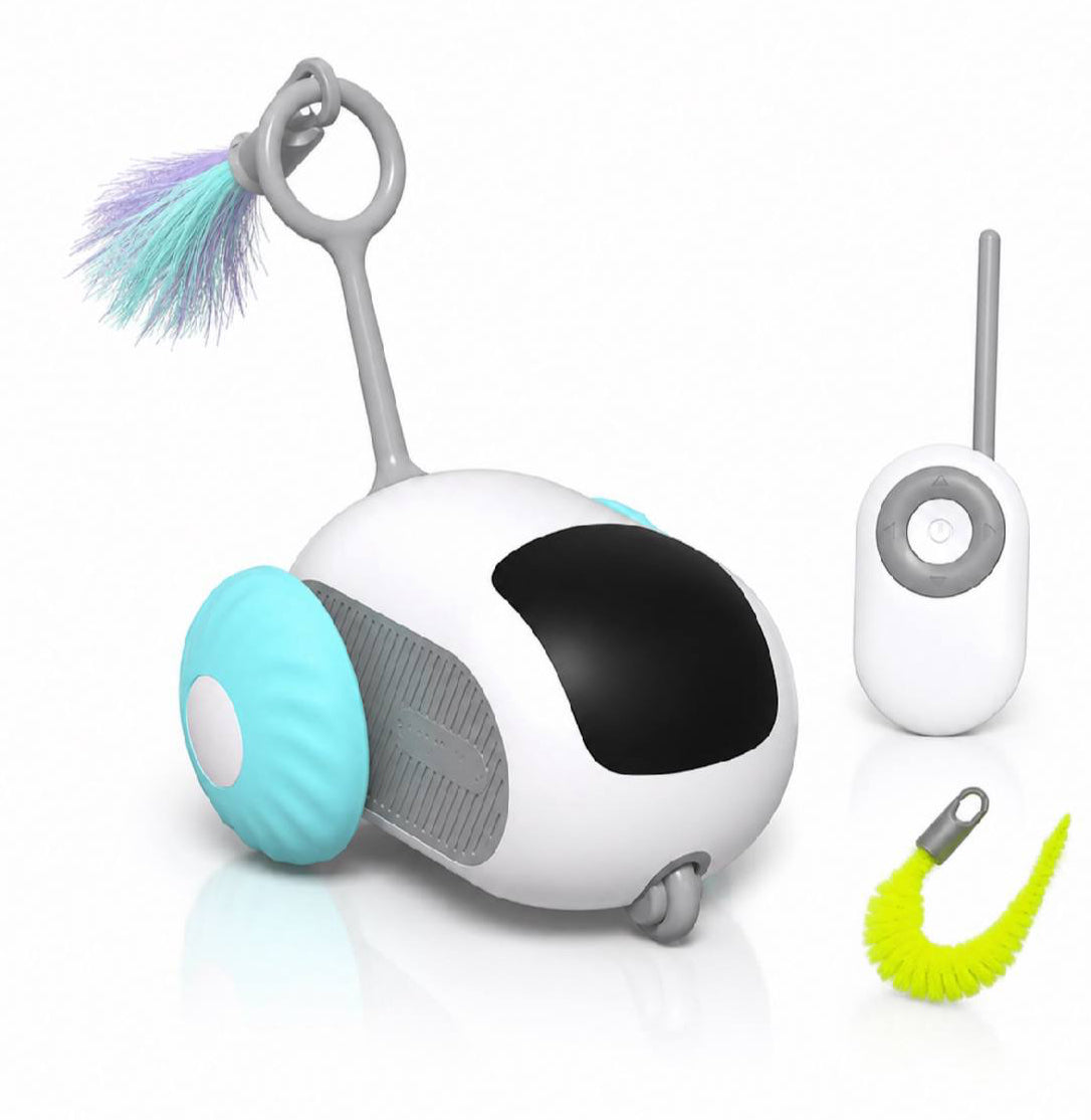 interactive cat car toy