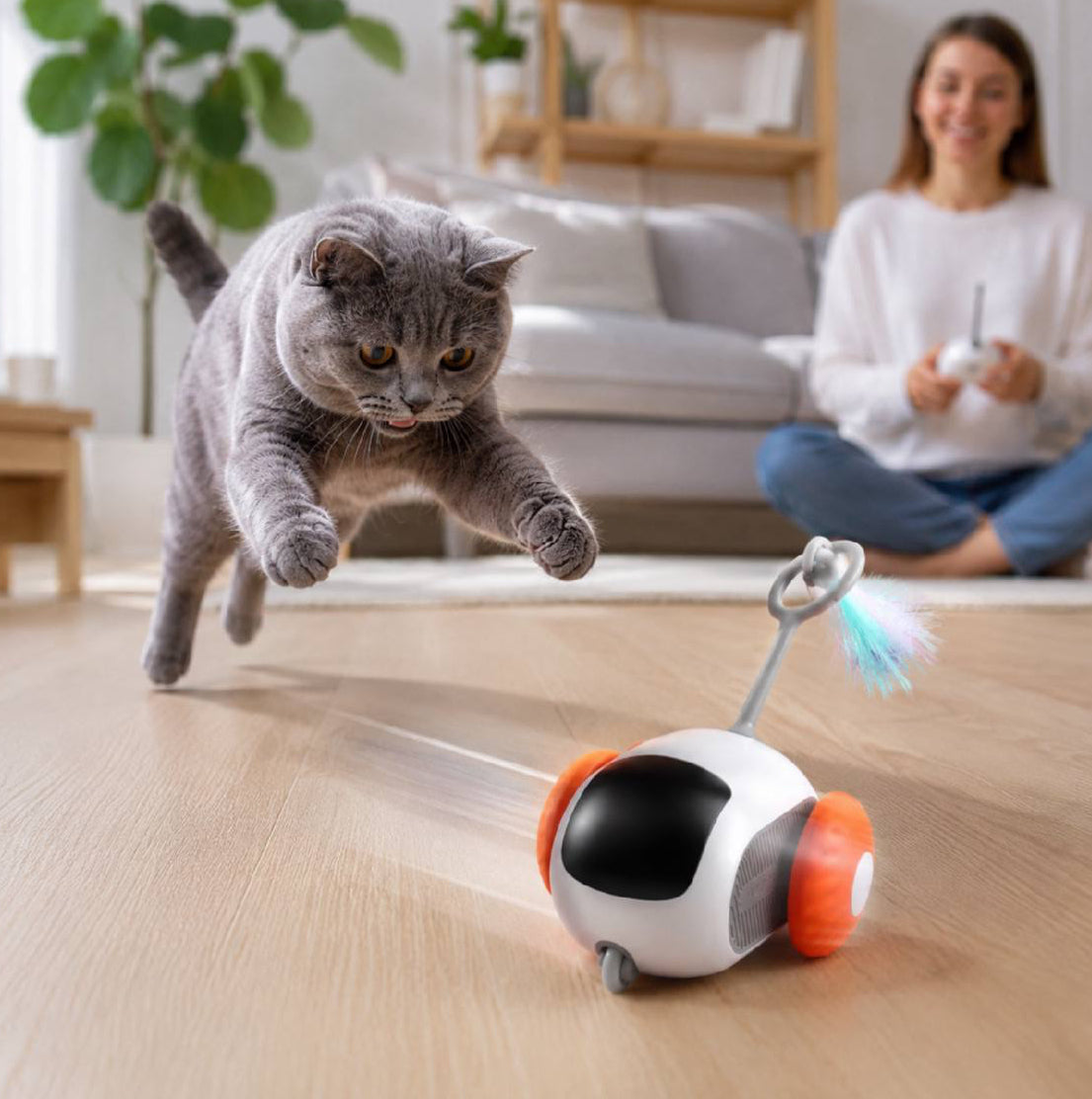 interactive cat car toy