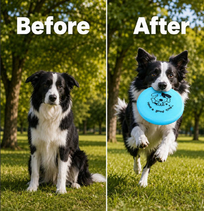 silicone flying disc dog toy