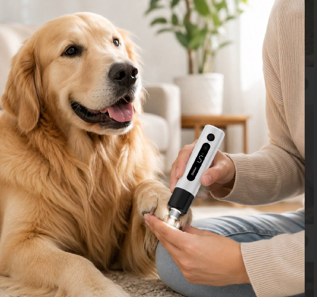 rechargeable dog nail grinder