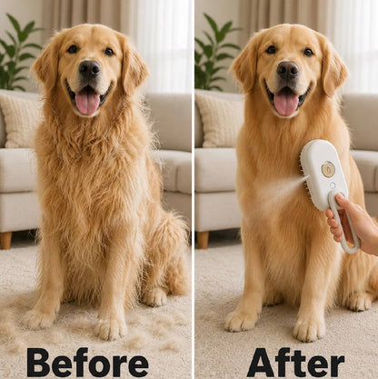 electric steam pet brush