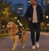 reflective no-pull dog harness