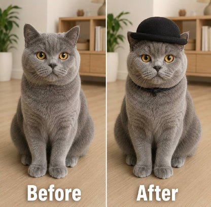 pet beret hat