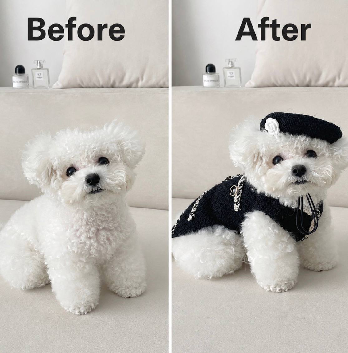 knitted pet hat