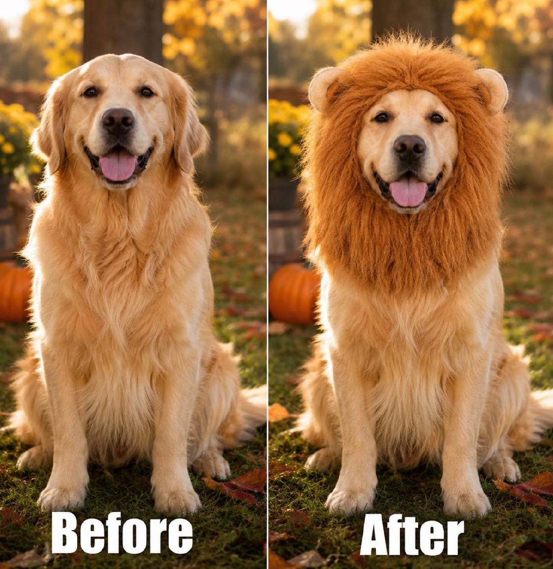 lion mane costume for pets
